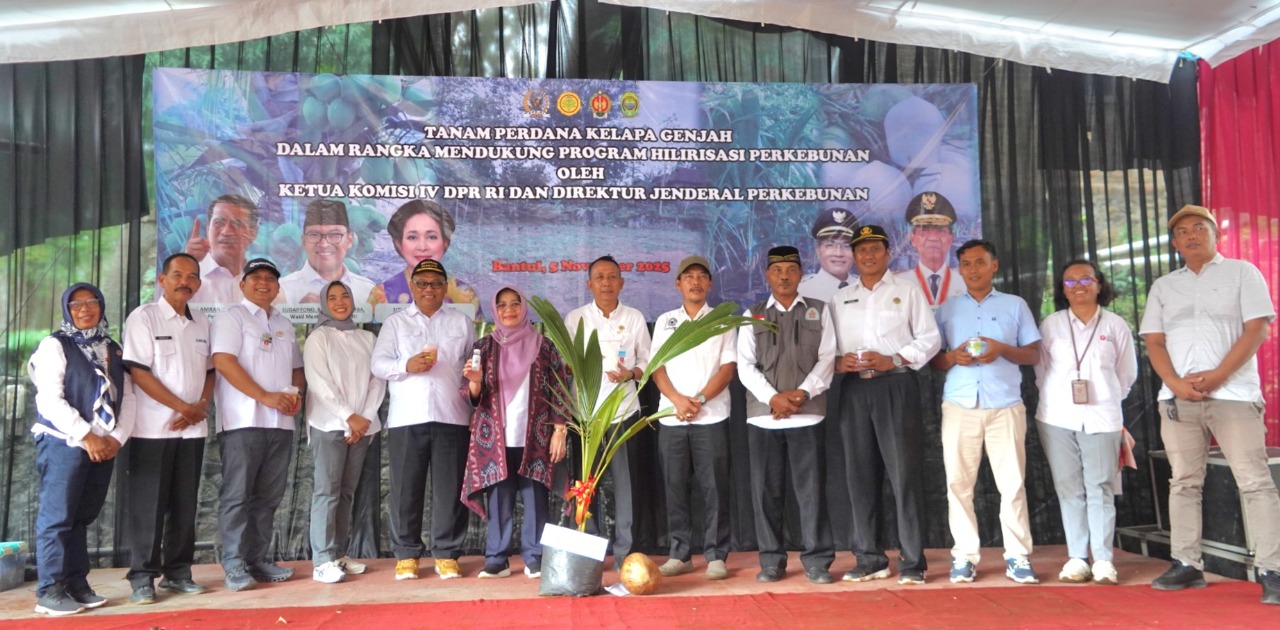 Kementan Perkuat Hilirisasi : Kelapa Genjah Jadi Harapan Baru Ekonomi Petani Bantul