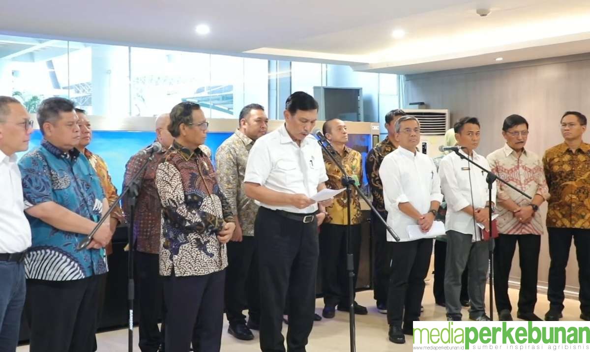 Pelaku Sawit Diminta Laporkan Kondisi Kebun