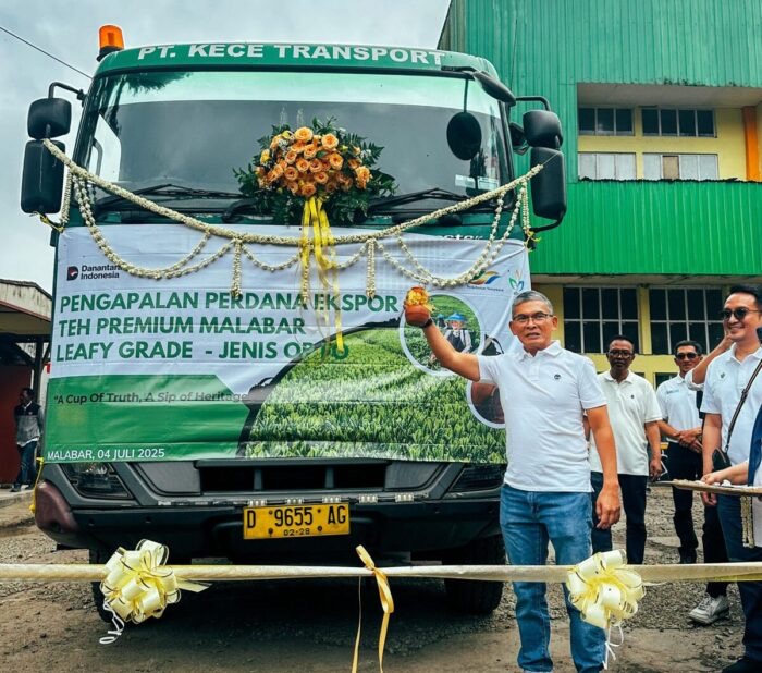 Potensi Ekspor Teh Produksi PTPN I Capai 42 Ton per Tahun
