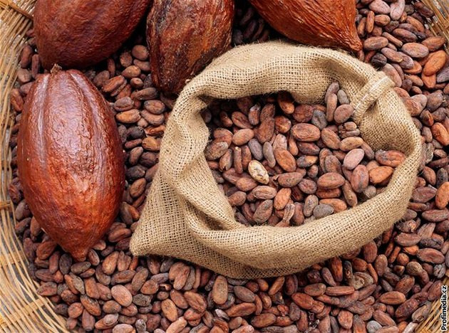 Harga Referensi Biji Kakao Turun 1,59 Persen untuk Periode Juli 2025