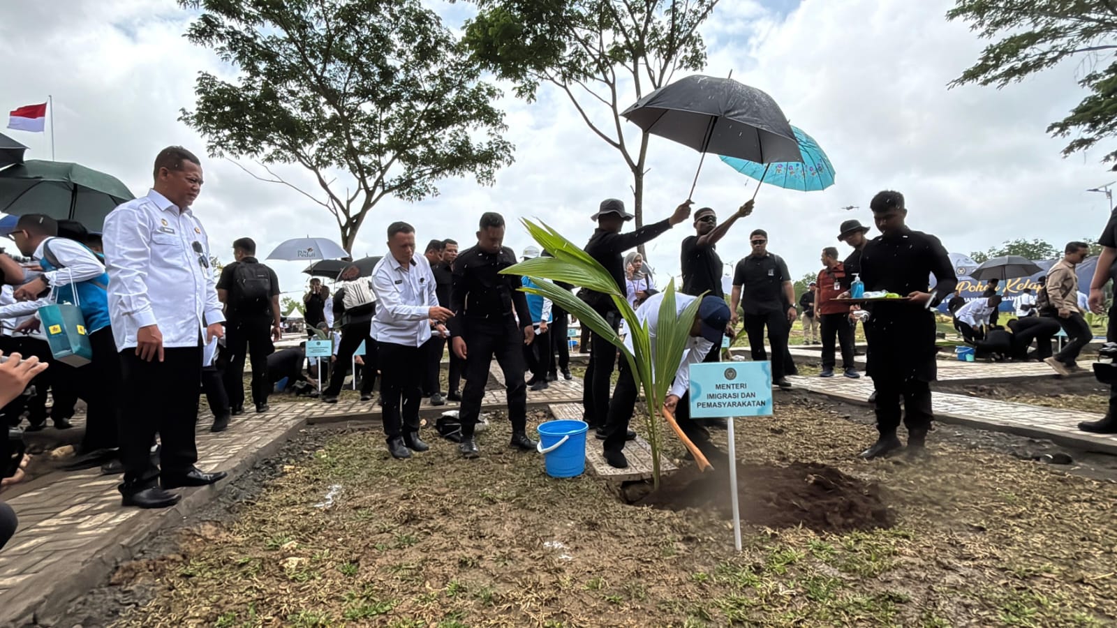 Pulau Nusakambangan Bakal dijadikan Pusat Hilirisasi Kelapa Bulat