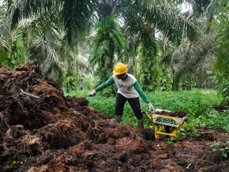 Petani Sawit di Jambi Lirik Cuan dari Bisnis Karbon Melalui Bursa Karbon Internasional