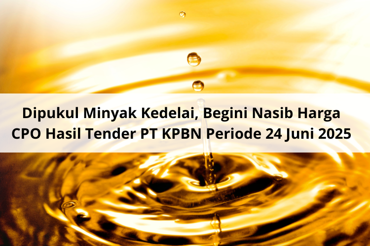 Dipukul Minyak Kedelai, Begini Nasib Harga CPO Hasil Tender PT KPBN Periode 24 Juni 2025