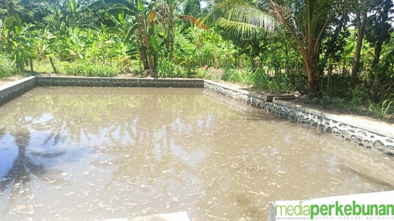 Ditjen Perkebunan Pastikan Produksi Aman di Musim Kemarau