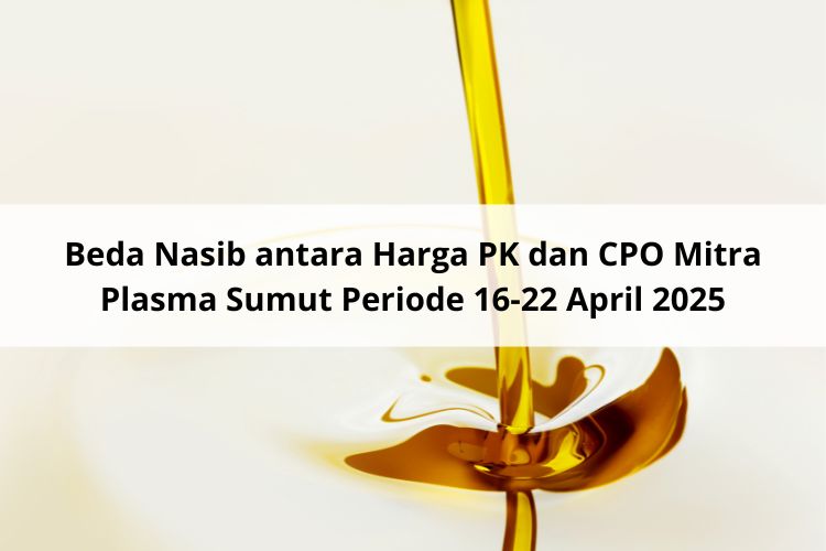 Beda Nasib antara Harga PK dan CPO Mitra Plasma Sumut Periode 16-22 April 2025