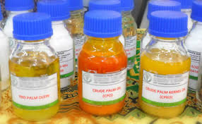 Sepekan Terakhir, Beginilah Perkembangan Harga CPKO Hasil Tender PT KPBN