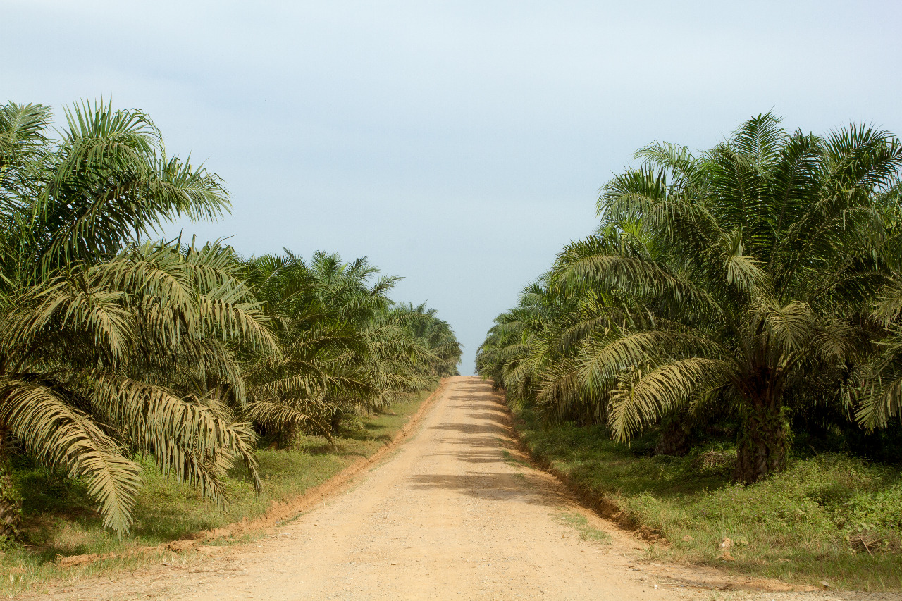 PENINGKATAN JALAN, USULAN TERBESAR SARPRAS
