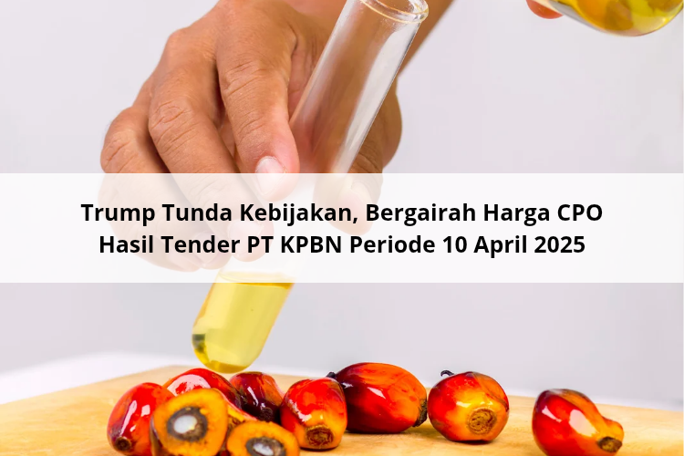 Trump Tunda Kebijakan, Bergairah Harga CPO Hasil Tender PT KPBN Periode 10 April 2025