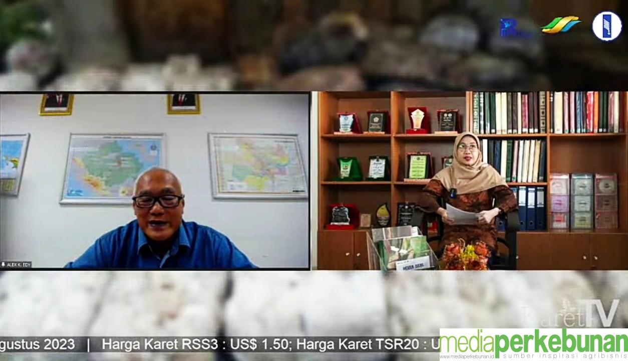 HANYA PEMERINTAH YANG BISA SELAMATKAN PETANI KARET