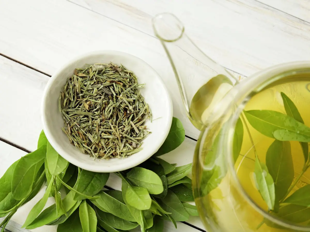 Manfaat Minum Teh Hijau, Cocok untuk Diet saat Puasa
