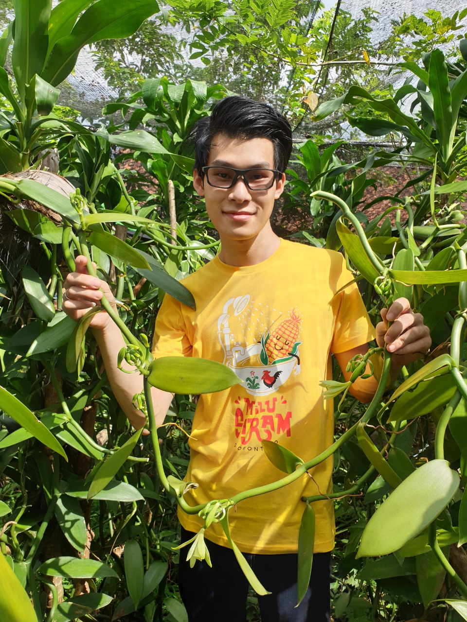 Petani Milenial Sukses Kembangkan Emas Hijau