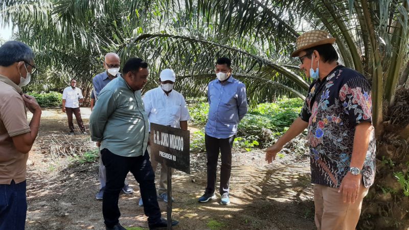 Kementan Cari Solusi Sawit di Lokasi
