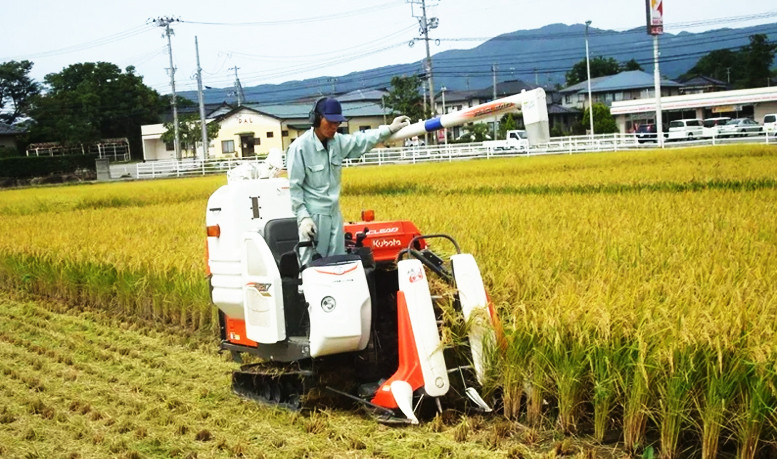 Perbedaan Pertanian di Jepang dan Indonesia