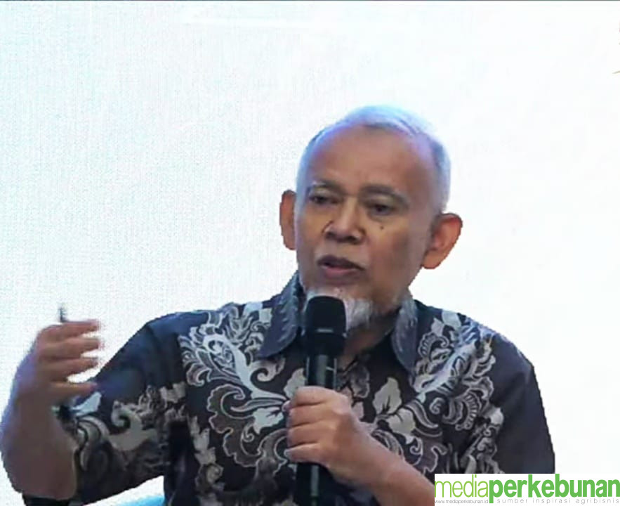 Sekitar 60 Persen Kelapa Diolah, Sebagian Besar Jadi Kopra