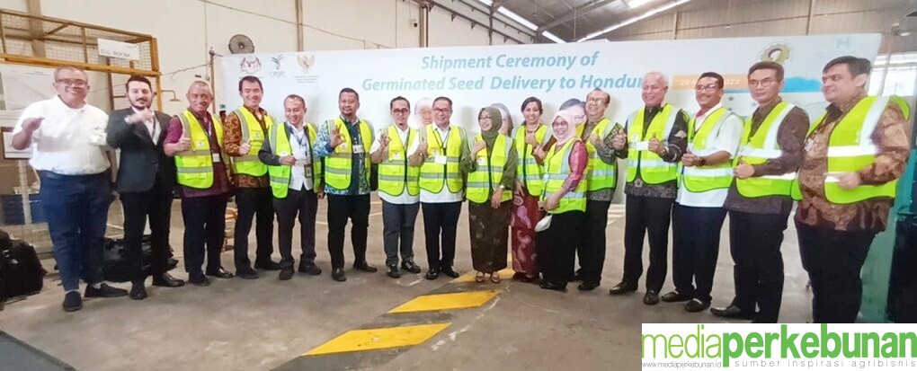 CPOPC Donasikan 102.000 Benih ke Petani di Honduras
