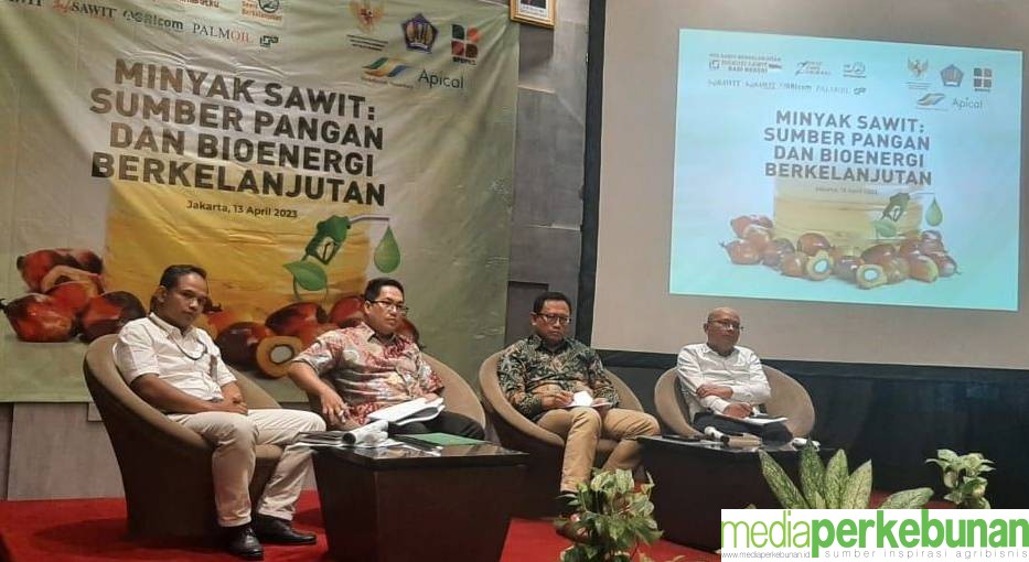 Indoensia Episentrum Minyak Sawit Dunia