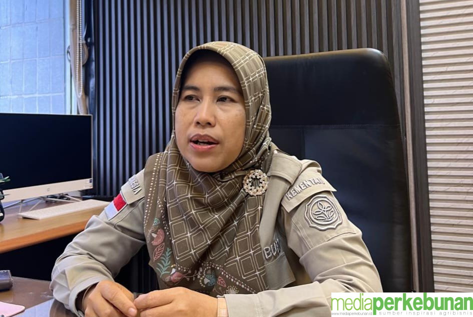 BABEBUN: Solusi Inovatif untuk Mengatasi Peredaran Benih Ilegal di Sektor Perkebunan