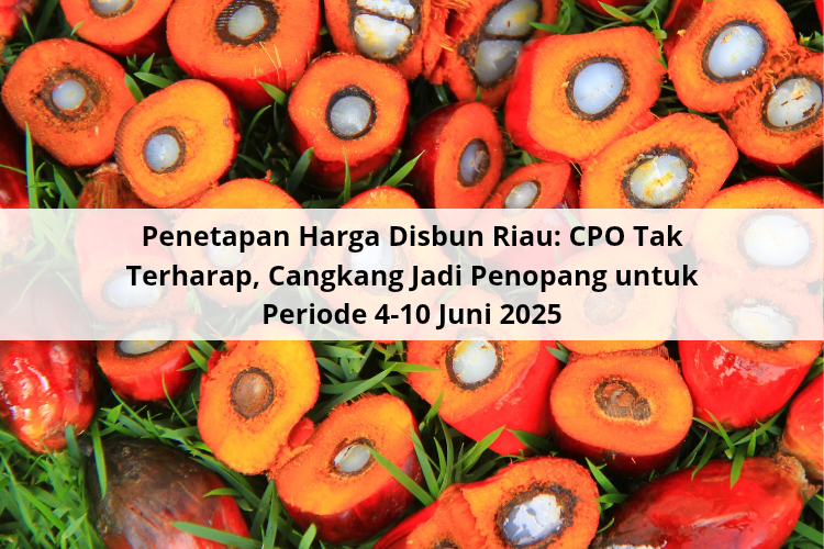 Penetapan Harga Disbun Riau: CPO Tak Terharap, Palm Kernel Jadi Penopang untuk Periode 4-10 Juni 2025