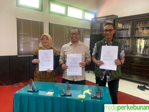 Ditjen Perkebunan Gandeng BUMN dan Pemda Kembangkan Kakao