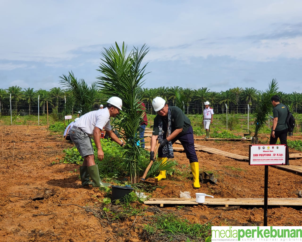 Kementan Ajak Petani PSR Jaga Ketahanan Pangan Lewat Kesatria