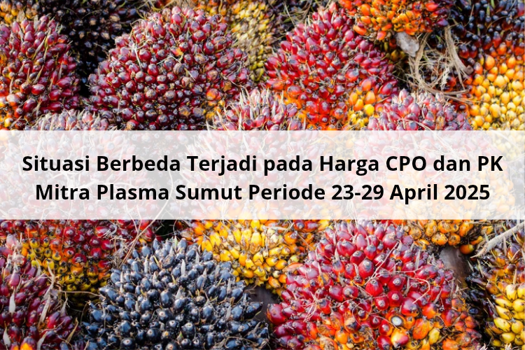 Situasi Berbeda Terjadi pada Harga CPO dan PK Mitra Plasma Sumut Periode 23-29 April 2025