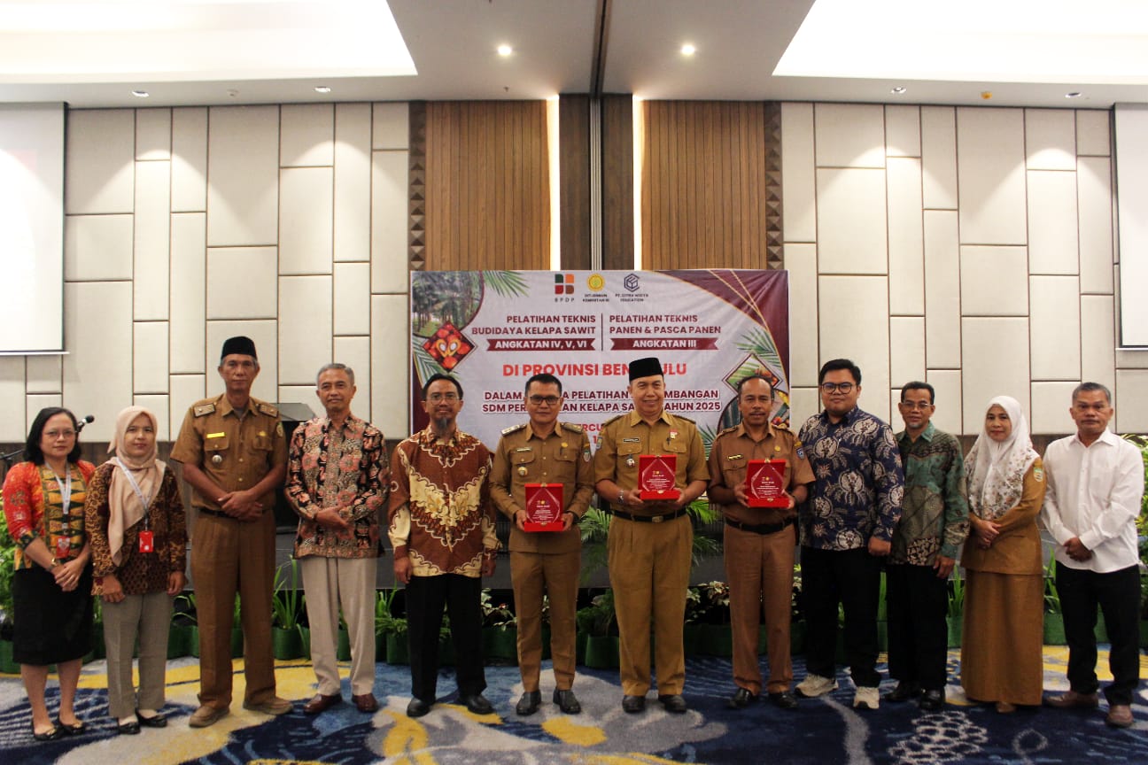 Meski Terhitung Luas, Produktivitas Perkebunan Sawit Rakyat di Kabupaten Bengkulu Cukup Rendah