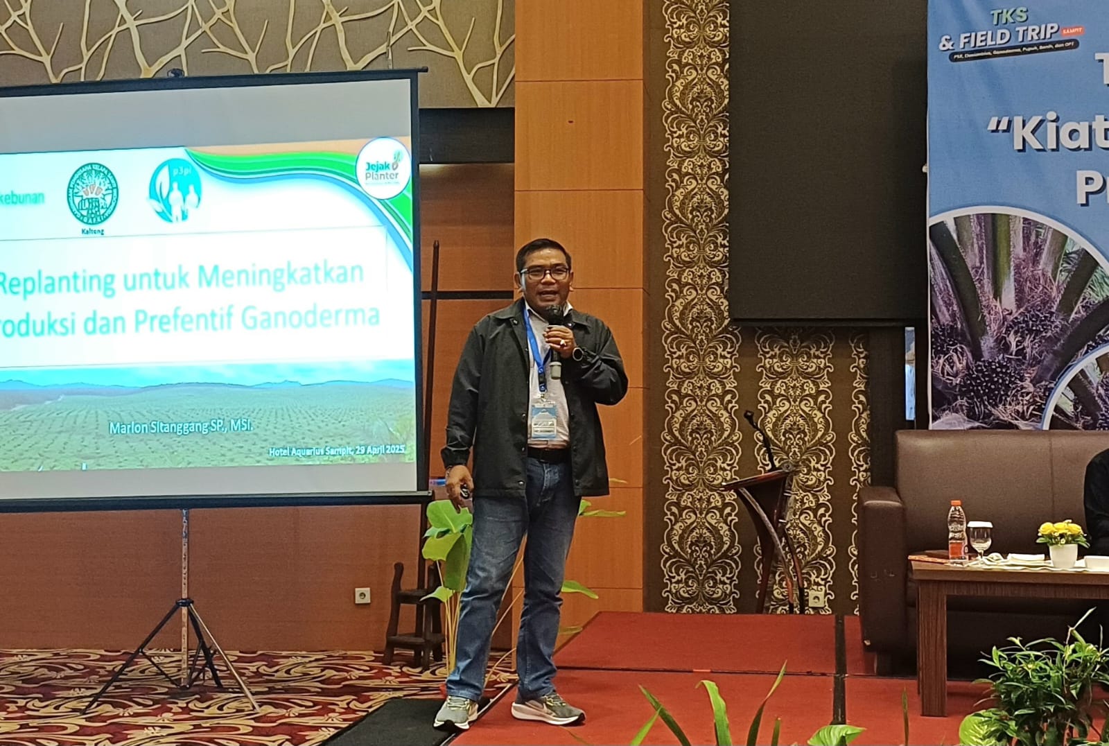 Replanting Sawit: Strategi Tingkatkan Produksi dan Tangkis Serangan Ganoderma