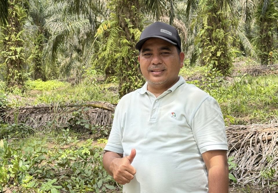 PKSP, Organisasi Petani Sawit Sebagai Mitra Strategis Pemerintah, Perjuangkan Kesejahteraan Petani Sawit Swadaya