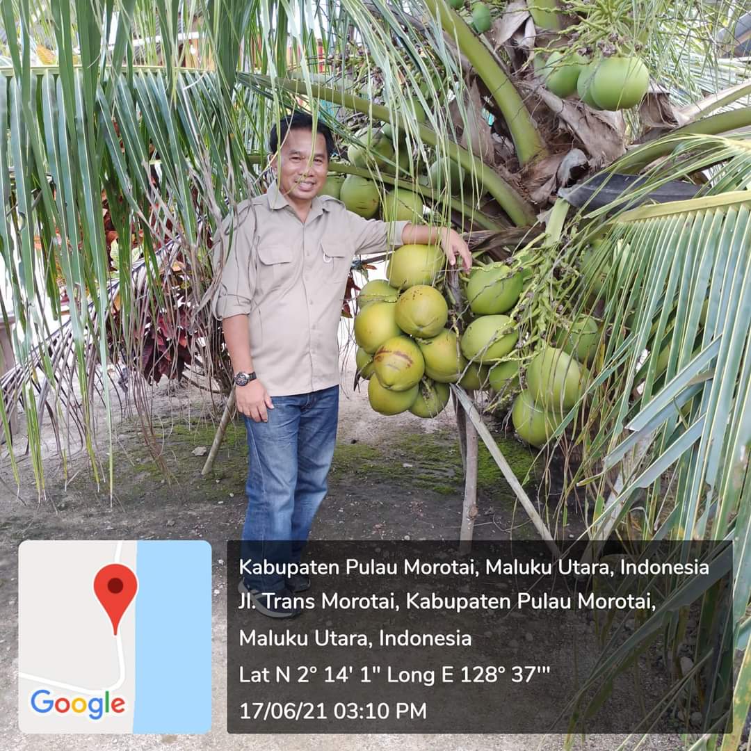 TAHUN 2010-2021 PENGEMBANGAN KELAPA DITJENBUN 196.777 HA