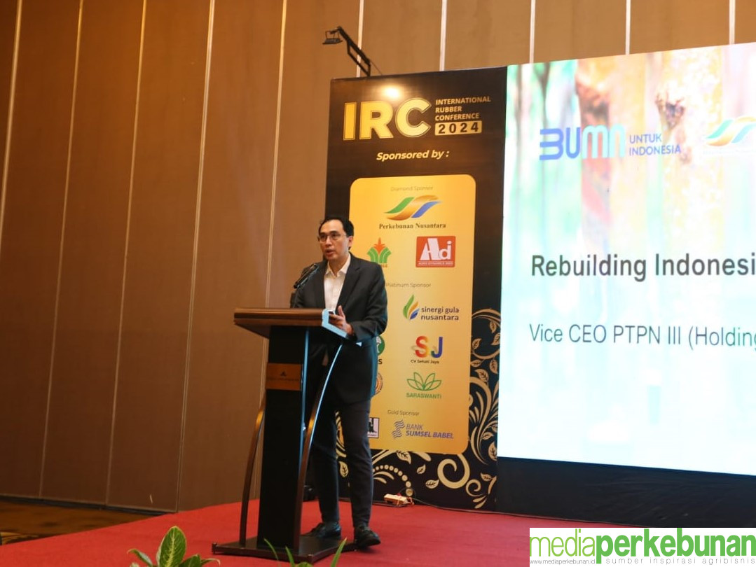 PTPN III Holding Tekan Biaya Produksi Karet
