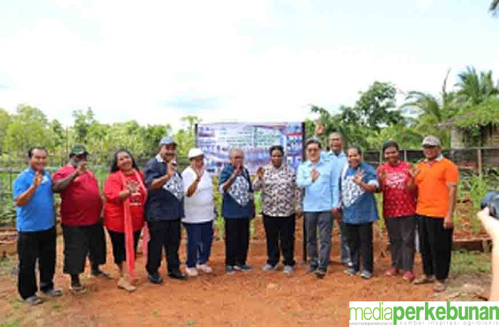 Kebun di Kampung Asiki Memberdayakan Masyarakat