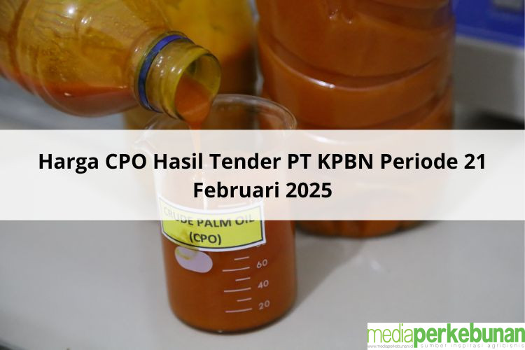 Akhir Pekan yang Indah, Melesat Lagi Harga CPO Hasil Tender PT KPBN Periode 21 Februari 2025