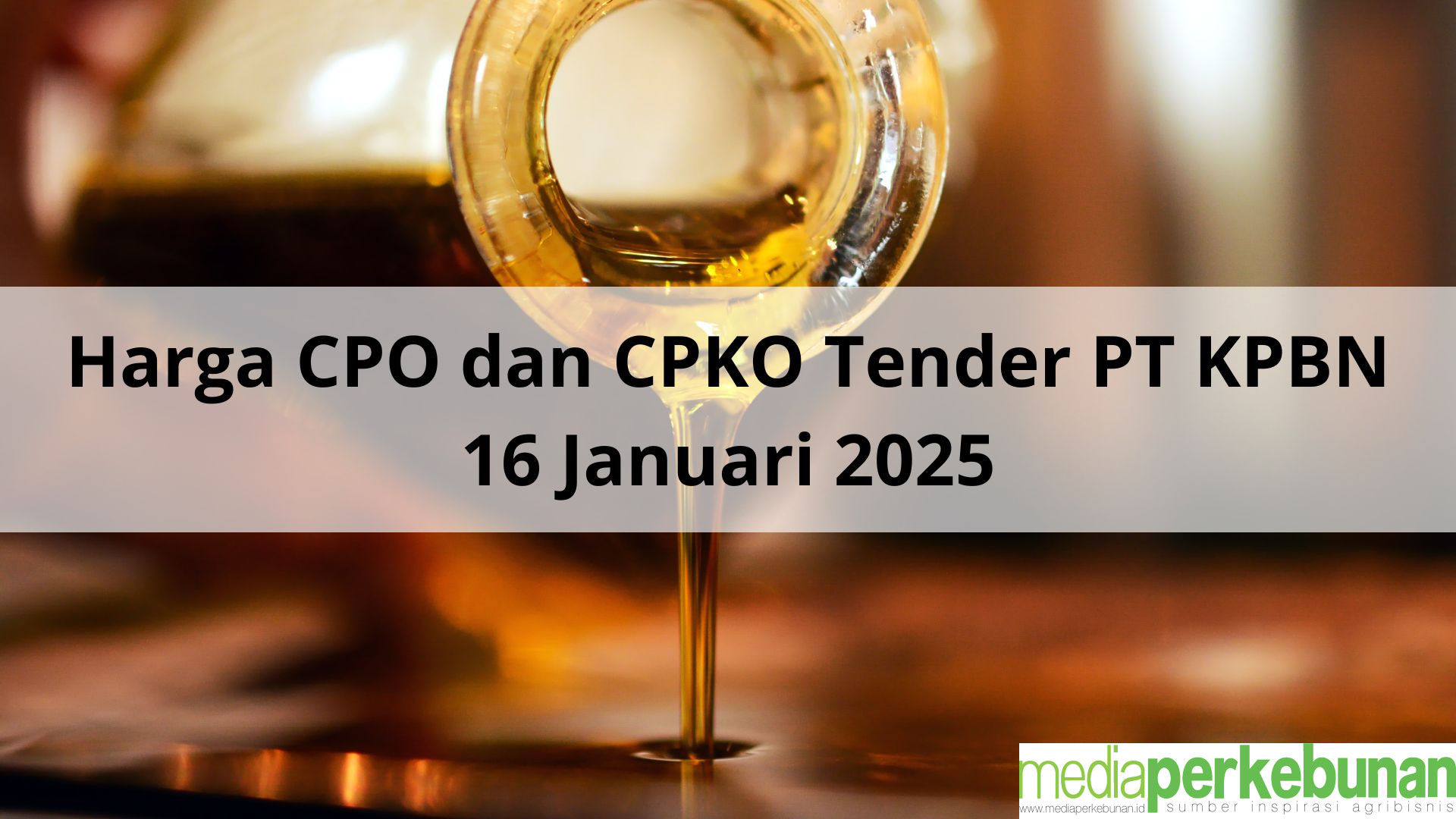 Semakin Menyedihkan Harga CPO dan CPKO pada Tender PT KPBN Periode 16 Januari 2025