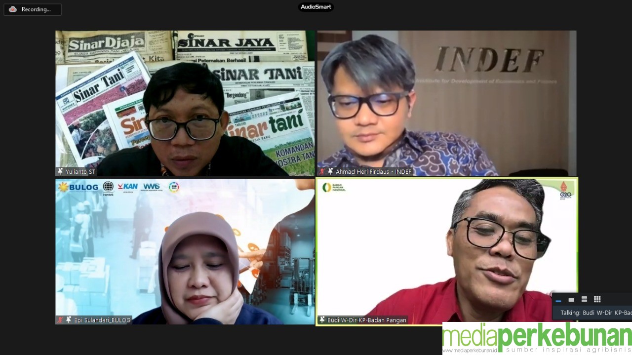 Beras Impor Perkuat Cadangan Beras Pemerintah