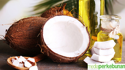 Cara Membuat Minyak Kelapa: Kaya Manfaat untuk Rambut