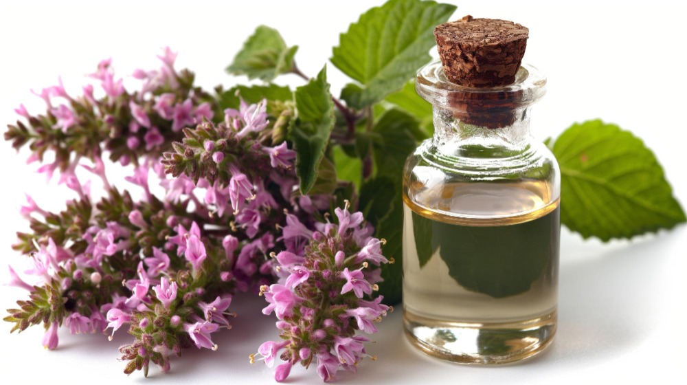 Aroma yang Bertahan Lama: Fungsi Nilam sebagai Fixative dalam Parfum
