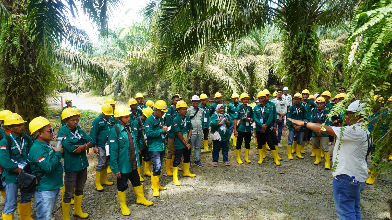 Tingkatkan Produktivitas, 60 Pekebun Aceh Singkil Ikuti Pelatihan Budidaya Sawit SDM-PKS 2026 di Medan
