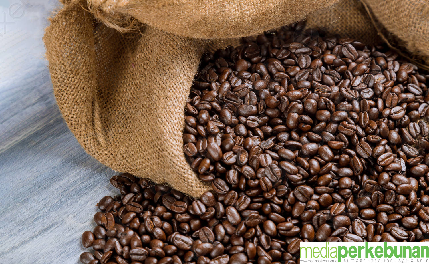 Mengalami Penurunan! Ini Harga Kopi Dunia Terbaru