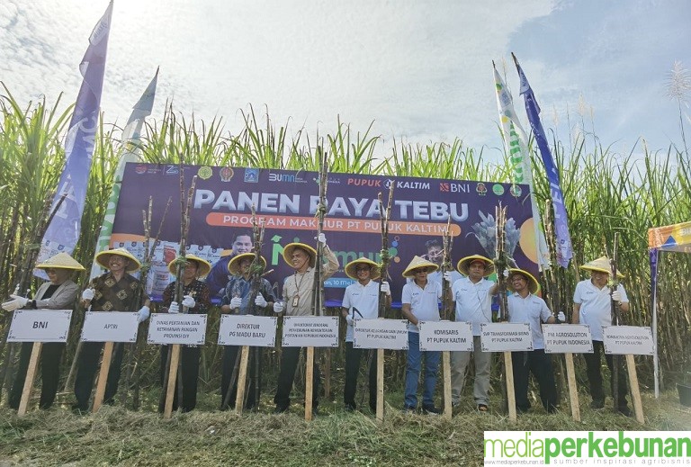 Peningkatan Protas Tebu Wujudkan Swasembada Gula Nasional