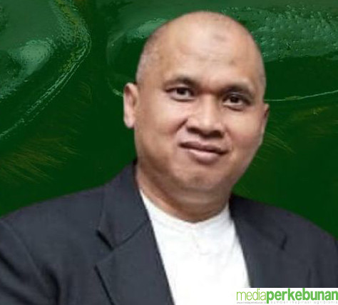 <strong>UPDATE PENGENDALIAN GANODERMA DENGAN TRICHODERMA</strong>