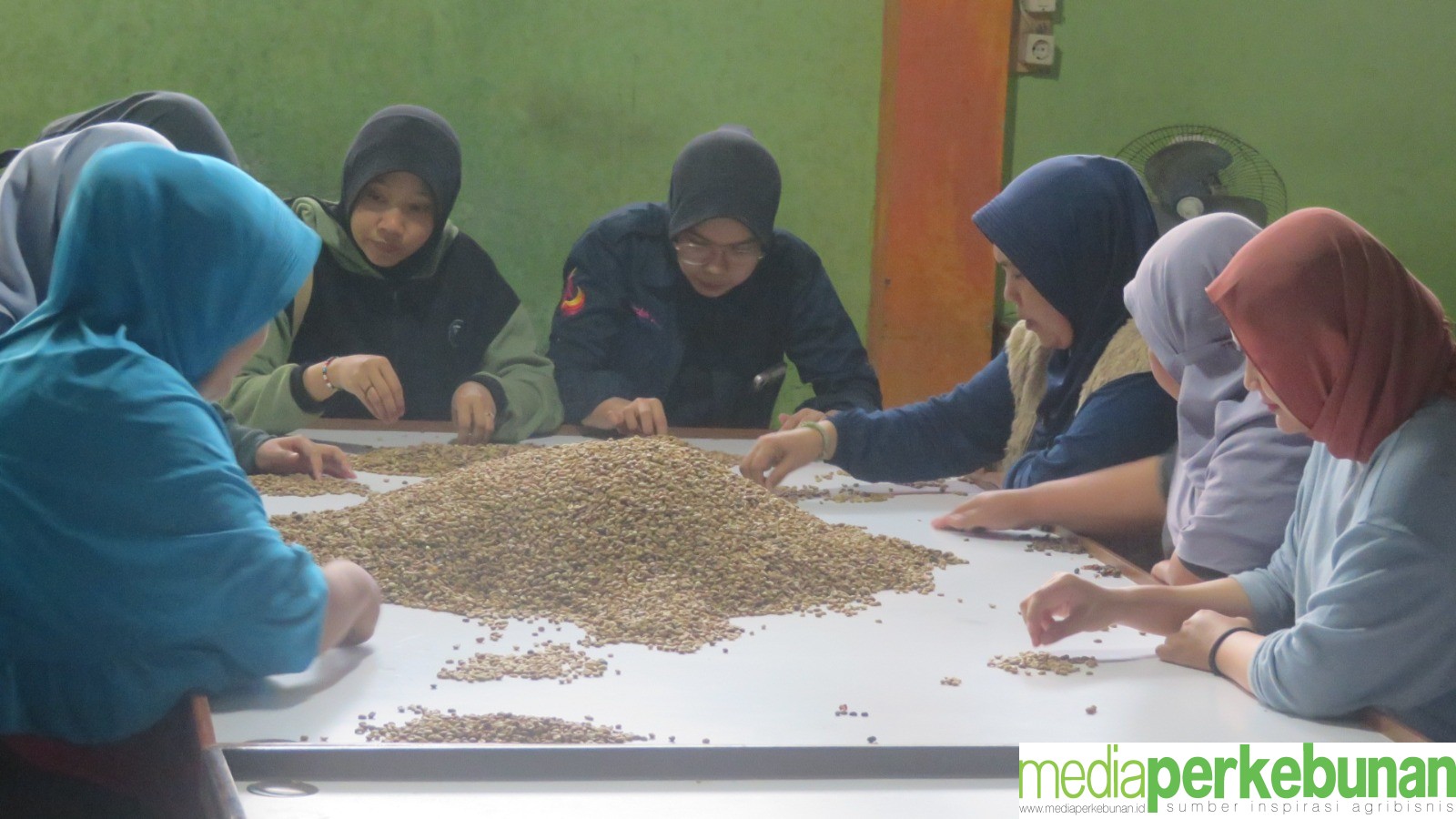 Melalui Sekolah Acarya: Milenial dari Lampung Kembangkan Edukasi Kopi