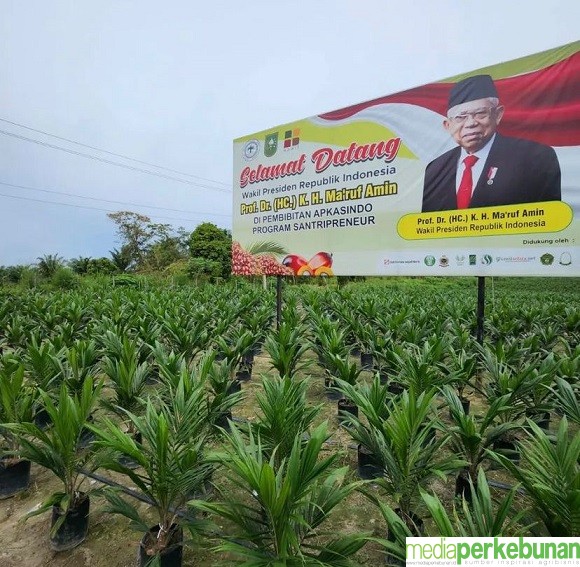Etalase Pembenihan Kelapa Sawit Pertama di Indonesia