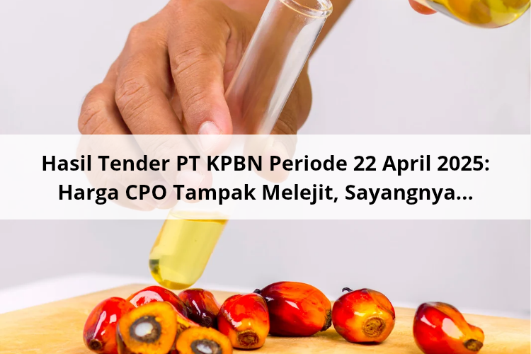 Hasil Tender PT KPBN Periode 22 April 2025: Harga CPO Tampak Melejit, Sayangnya…