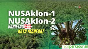 Perkenalkan, Ini NusaKlon 1 dan 2 dari PPKS