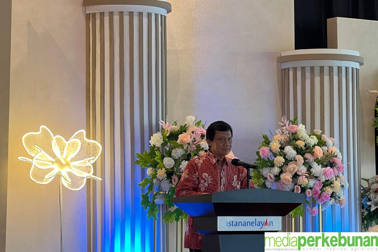 Masyarakat Internasional Berharap Pada Kakao Indonesia