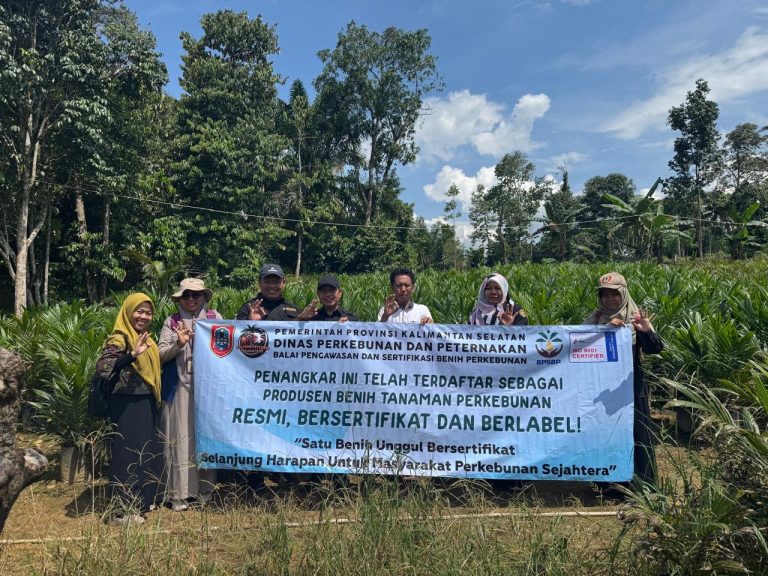 Perkuat Dukungan ke ISPO, Provinsi Ini Permudah Penyediaan Benih Unggul dan Bersertifikat
