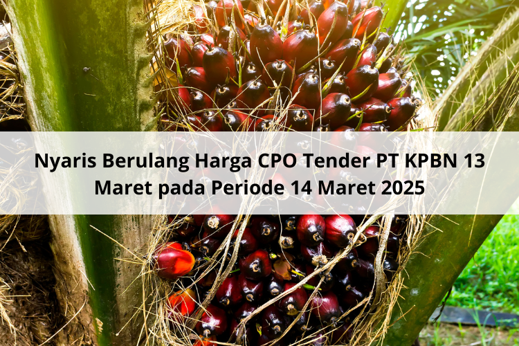 Nyaris Berulang Harga CPO Tender PT KPBN 13 Maret pada Periode 14 Maret 2025
