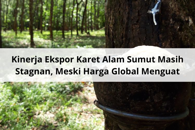 Kinerja Ekspor Karet Alam Sumut Masih Stagnan, Meski Harga Global Menguat