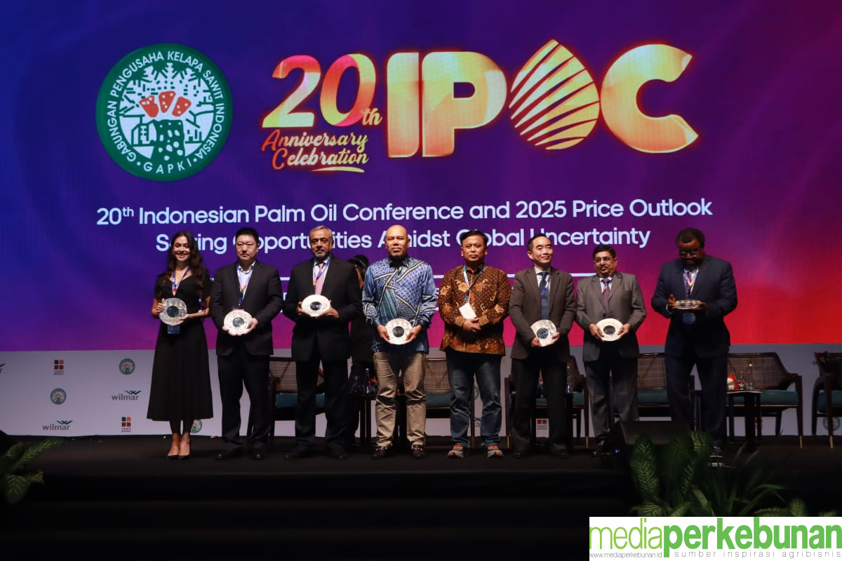 Negara Importit Sawit Siapkan Alternatif Minyak Nabati Lain