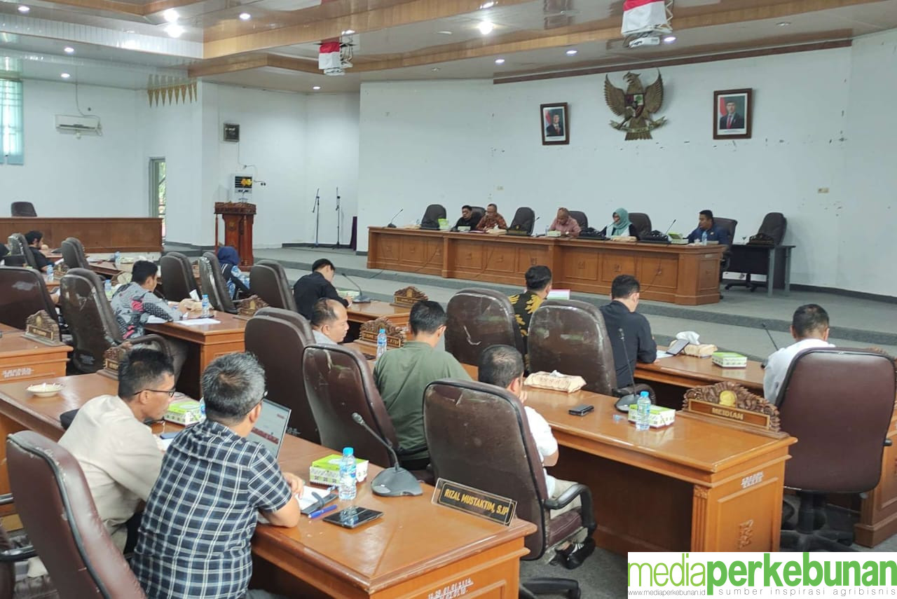 IUP Sejumlah Perusahaan Sawit di Bangka Diselidiki, Tiga Pansus Dikerahkan